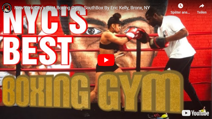 Most famous Boxers from New York